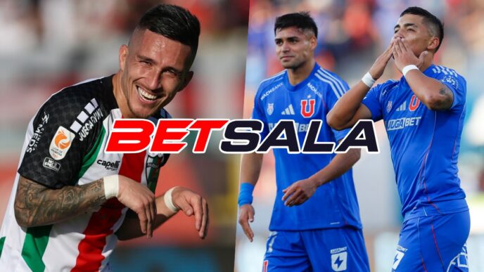 Cuadro copa sudamericana u de chile palestino